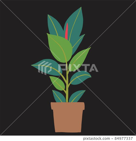 simplicity rubber fig plant freehand drawing flat design. simplicity rubber fig plant freehand drawing flat design. 84977337