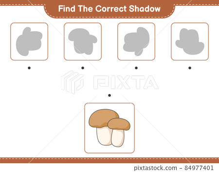 Find the correct shadow. Find and match the correct shadow of Mushroom Boletus. Educational children game, printable worksheet, vector illustration Find the correct shadow. Find and match the correct shadow of Mushroom Boletus. Educational children game, printable worksheet, vector illustration 84977401