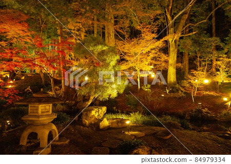 Konkai Komyoji Temple 被照亮的秋葉 Konkai Komyoji Temple 被照亮的秋葉 84979334