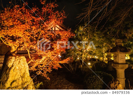Konkai Komyoji Temple 被照亮的秋葉 Konkai Komyoji Temple 被照亮的秋葉 84979336