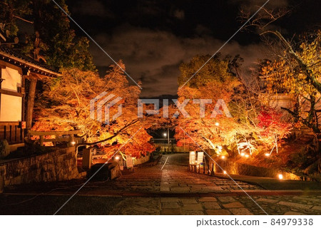 Konkai Komyoji Temple illuminated autumn leaves 84979338