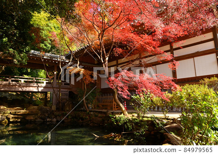 Late autumn scenery of Jindaiji Monzen-cho Late autumn scenery of Jindaiji Monzen-cho 84979565