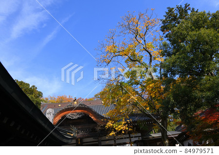 深大寺門前町的深秋風光 84979571