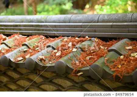 Late autumn scenery of Jindaiji Monzen-cho Late autumn scenery of Jindaiji Monzen-cho 84979654