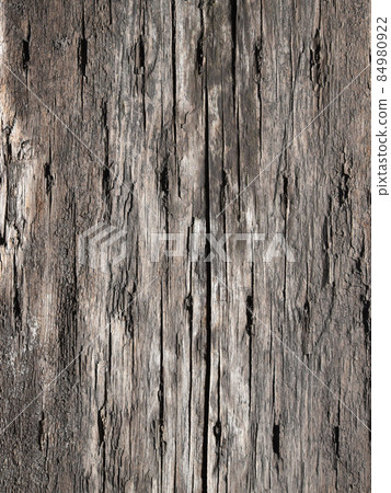 Rough bark over the years, old sleepers with dead colors Rough bark over the years, old sleepers with dead colors 84980922