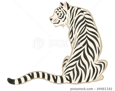 White tiger sitting with his back turned White tiger sitting with his back turned 84981192