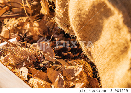 Pine cone / Christmas image 84981329