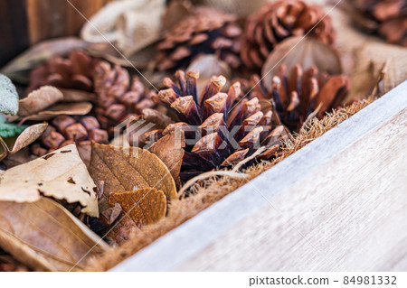 Pine cone / Christmas image 84981332