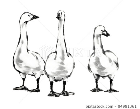 使用水墨畫技術繪製的三隻正面天鵝 84981361