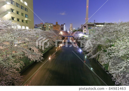 【東京】夜櫻盛開(目黑川) 【東京】夜櫻盛開(目黑川) 84981463