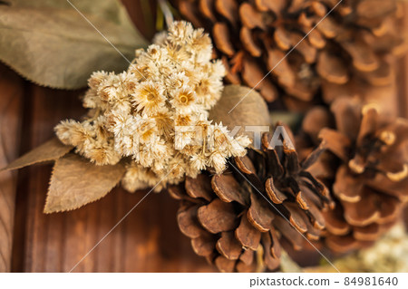 Pine cone / Christmas wreath image 84981640