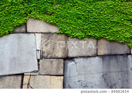 Japan's Three Famous Castles-Osaka Castle 84981654