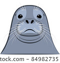 Fur seal head with mustache close-up. 84982735