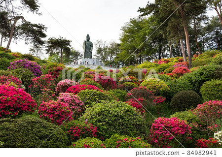 Azalea Festival at Shiofune Kannonji Temple in Ome City, Tokyo Kannon Statue 84982941