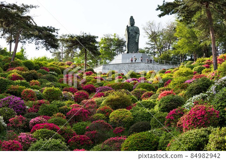 Azalea Festival at Shiofune Kannonji Temple in Ome City, Tokyo Kannon Statue 84982942