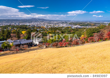 《奈良縣》 奈良公園和若草山的秋景 84983097