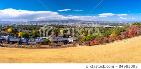 《Nara Prefecture》 Autumn view of Nara Park and Mt. Wakakusa 84983098