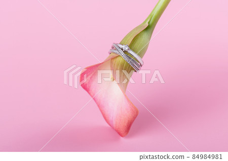 One pink Calla lilies with engagement ring on pink background for Valentines day One pink Calla lilies with engagement ring on pink background for Valentines day 84984981