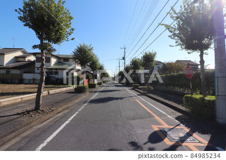 埼玉縣蓮田市西新宿的風景 埼玉縣蓮田市西新宿的風景 84985234
