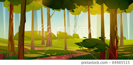 Summer forest with path, green grass and trees Summer forest with path, green grass and trees 84985515