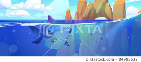 Shark in sea with rocks around underwater creature Shark in sea with rocks around underwater creature 84985632