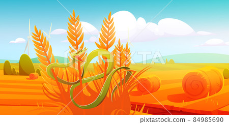 Snake Trimeresurus Salazar at autumn field, venom 84985690