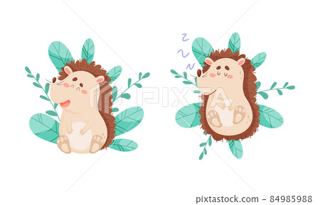 Cute funny hedgehog character activities set. Adorable forest baby animal among grass cartoon vector illustration Cute funny hedgehog character activities set. Adorable forest baby animal among grass cartoon vector illustration 84985988