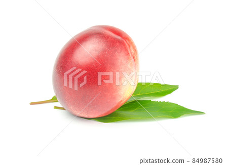 Single nectarine with green leaves over white background Single nectarine with green leaves over white background 84987580