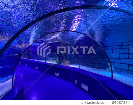 Large beautiful round glass tunnel under water in the aquarium with different fish. Concept: tourism, sea world, diving 84987874