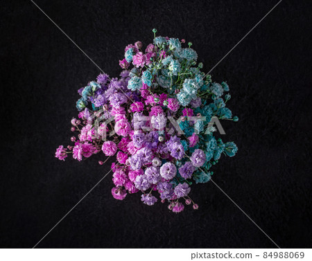 One flower on black background. For design. Nature. One flower on black background. For design. Nature. 84988069