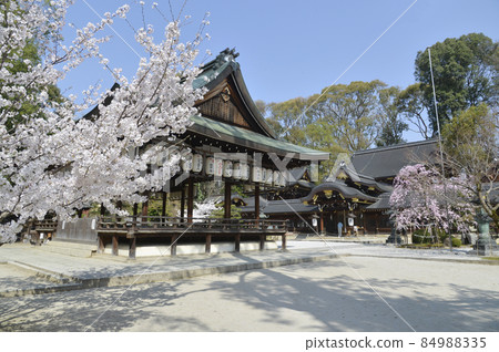 Spring Imamiya Shrine Worship Hall Shino, Kita-ku, Kyoto Spring Imamiya Shrine Worship Hall Shino, Kita-ku, Kyoto 84988335