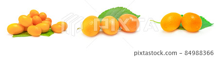Set of cumquats on a background 84988366