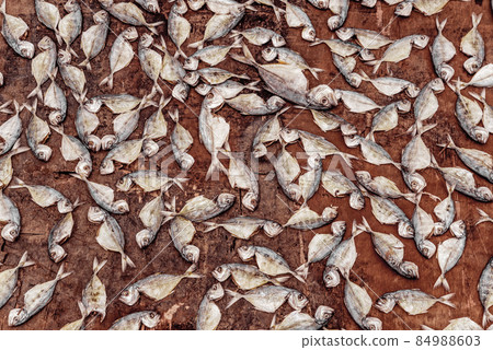 Fishes desiccated or sun dried fish Fishes desiccated or sun dried fish 84988603