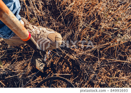 Man with metal detector found something in the soil and digs it out with the spade 84991693