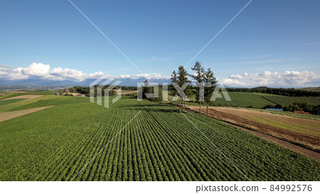 Hill of Biei-cho, Hokkaido 84992576