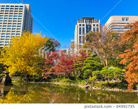 東京日比谷/日比谷公園的黃葉 84992785