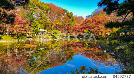 東京日比谷/日比谷公園的黃葉 84992787