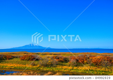 旅途中陽光明媚的禮文島利尻島 84992819