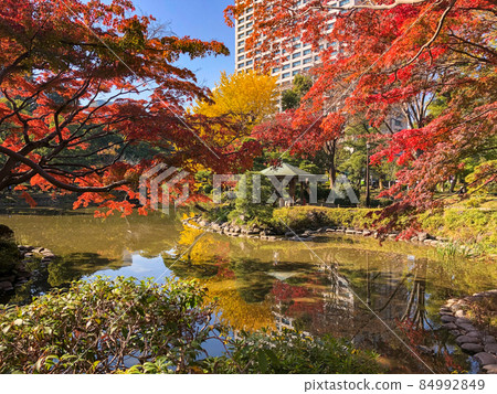 東京日比谷/日比谷公園的黃葉 東京日比谷/日比谷公園的黃葉 84992849