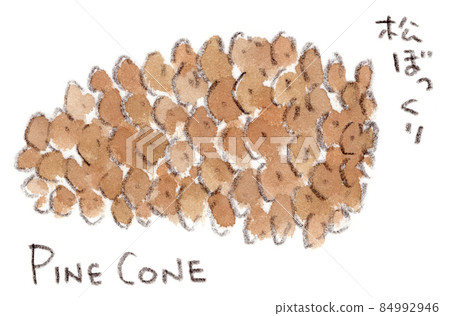 Watercolor illustration of pine cones (pine cones, pine cones, pine cones) Watercolor illustration of pine cones (pine cones, pine cones, pine cones) 84992946