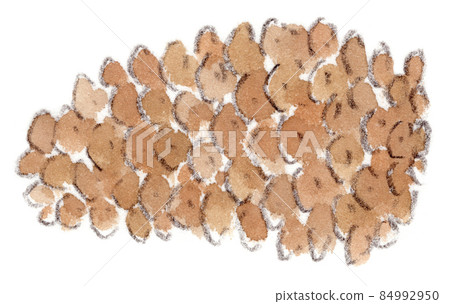 Watercolor illustration of pine cones (pine cones, pine cones, pine cones) 84992950