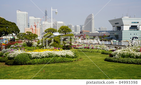 Looking toward Minatomirai from Yokohama Port and Yamashita Park Looking toward Minatomirai from Yokohama Port and Yamashita Park 84993398