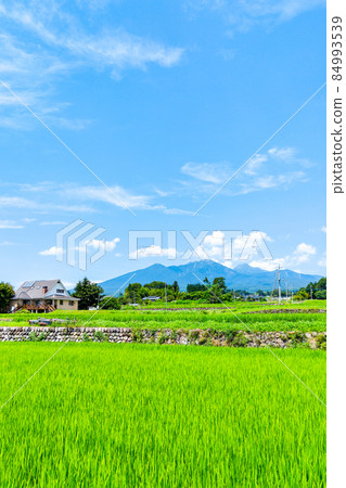 Yatsugatake seen from Hokuto city 84993539