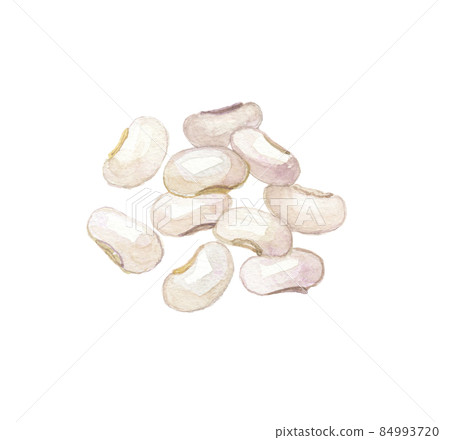 White flower beans 84993720
