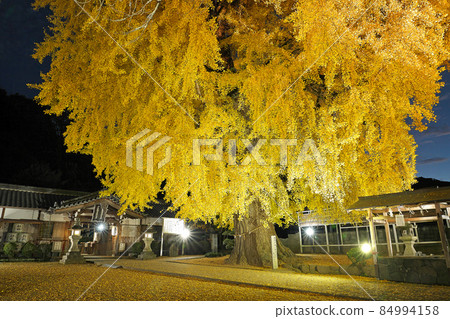 [入坂堂（點燈）]和歌山縣伊東郡葛城町三谷 84994158