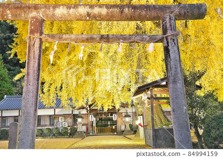 [入坂堂（點燈）]和歌山縣伊東郡葛城町三谷 84994159