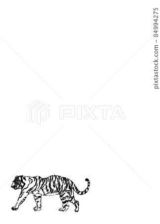White tiger horizontal vector color small vertical White tiger horizontal vector color small vertical 84994275