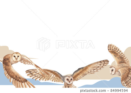 owl bird watercolor frame png owl bird watercolor frame png 84994594