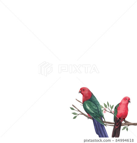 Macaw parrot bird watercolor frame png Macaw parrot bird watercolor frame png 84994618