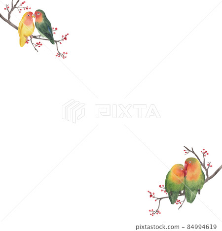 Macaw parrot bird watercolor frame png 84994619